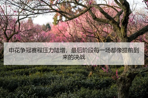 申花争冠赛程压力陡增，最后阶段每一场都像提前到来的决战